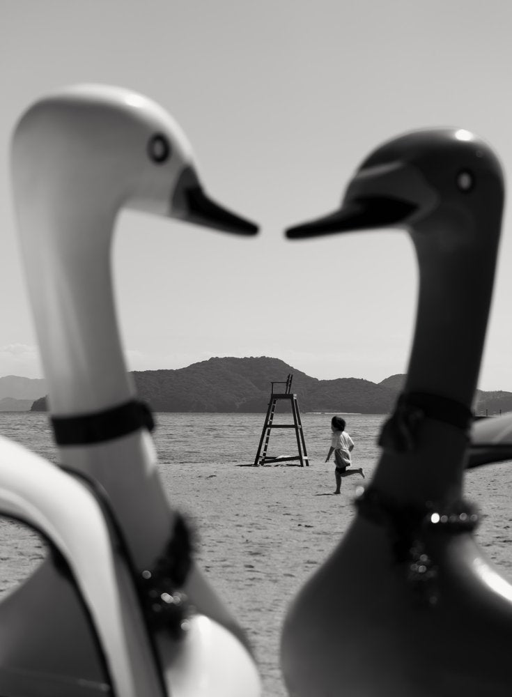 Swan Boats Beach Day
