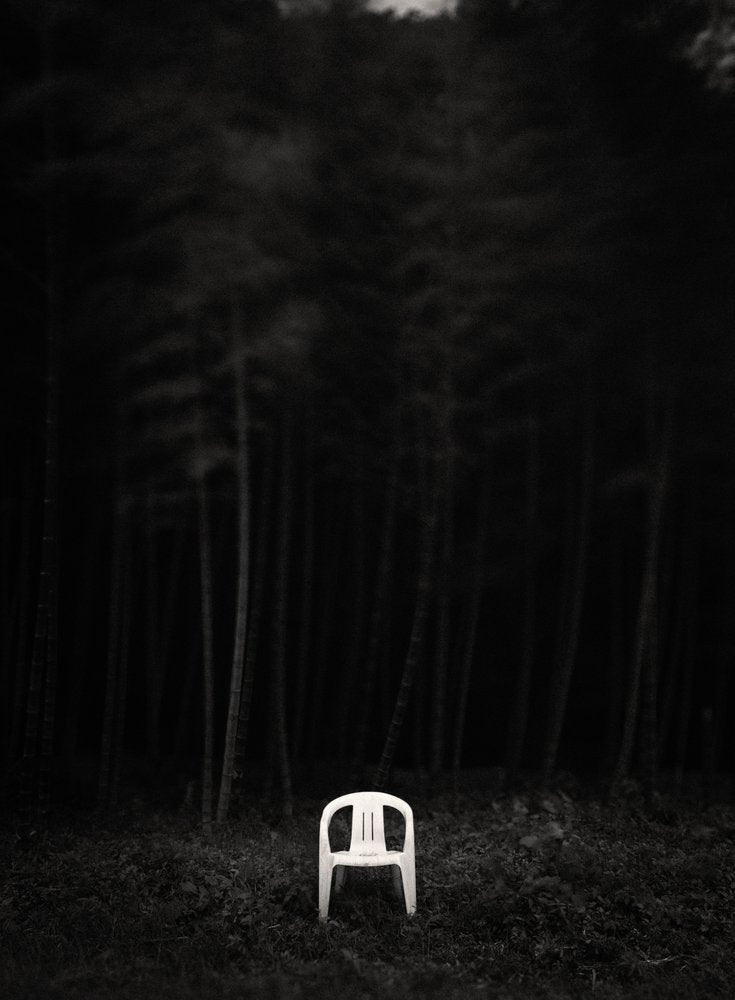 Solitary White Chair Forest