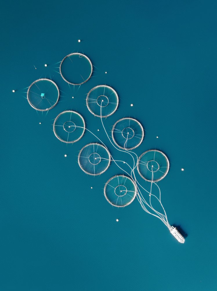 Aerial Aquaculture Circles