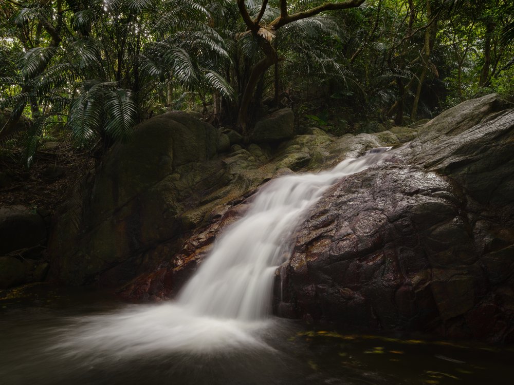 Serene Jungle Waterfall