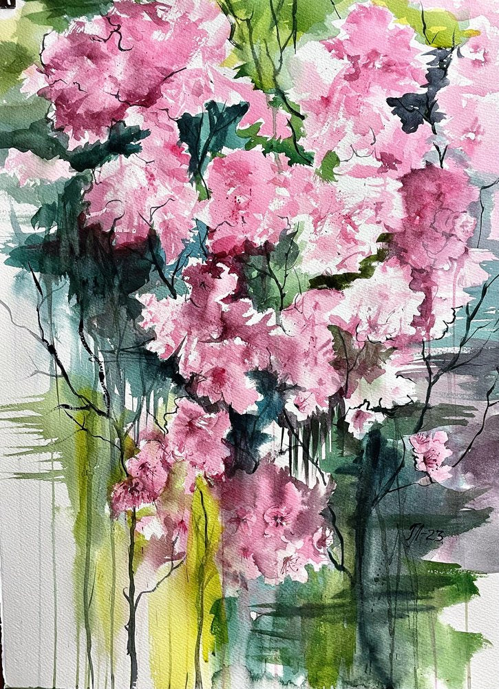 Vibrant Pink Blooms