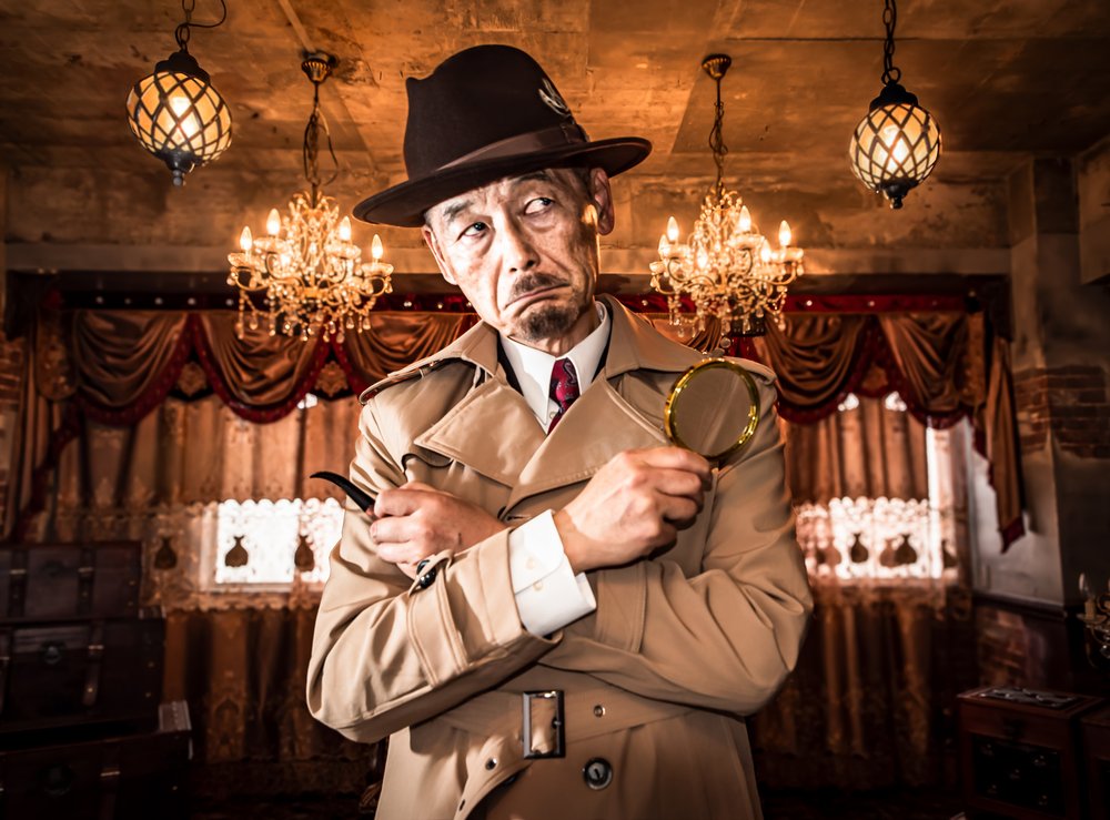 Puzzled Vintage Detective