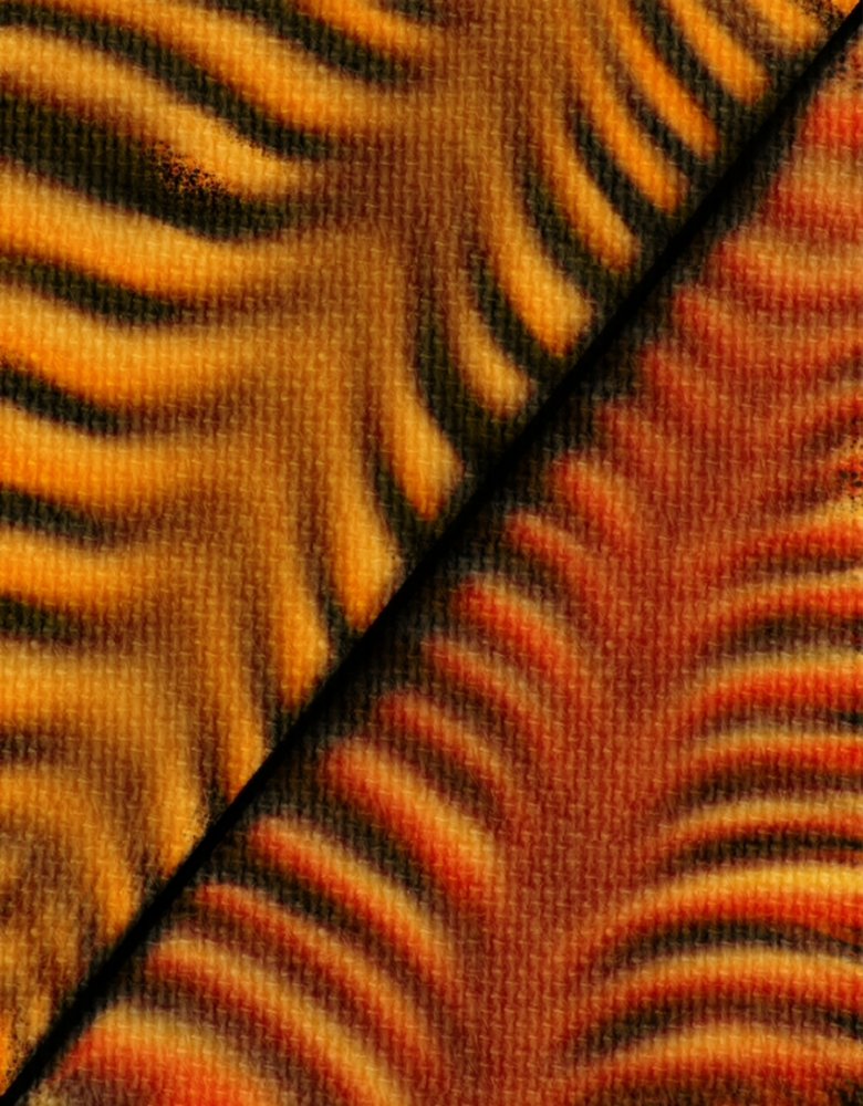 1000025716