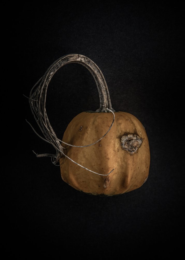 Dark Rustic Gourd