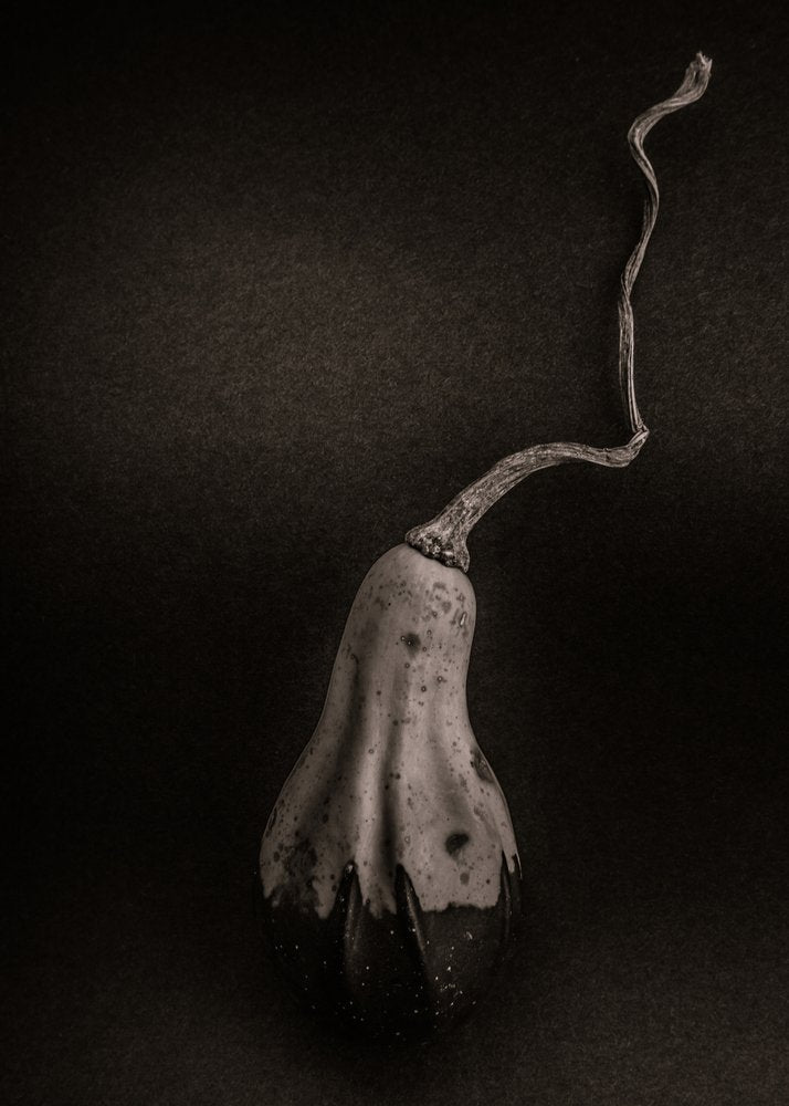 Dried Gourd Still Life