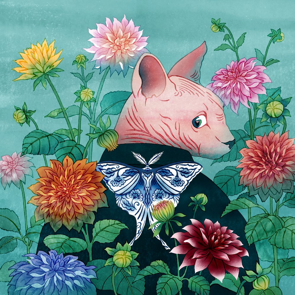 Floral Sphynx Cat