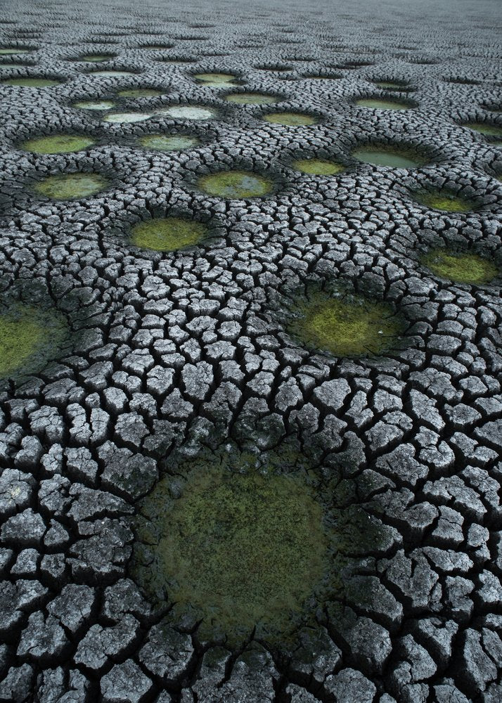 Arid Cracked Earth Puddles