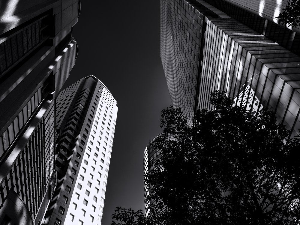 Monochrome City Heights