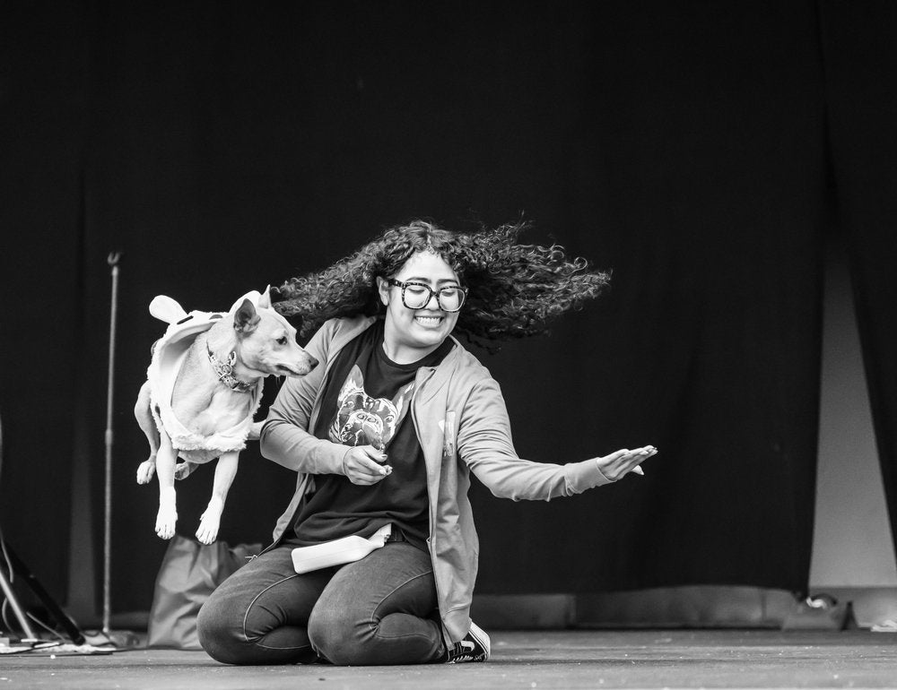 Happy Dog Jump