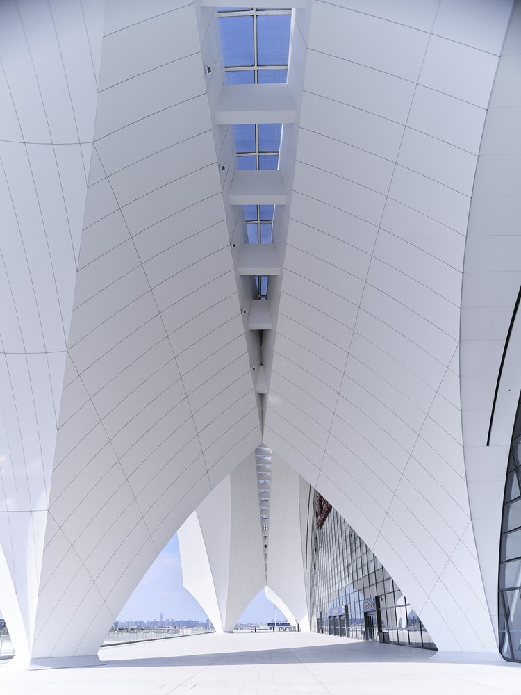 Modern Architectural Curves