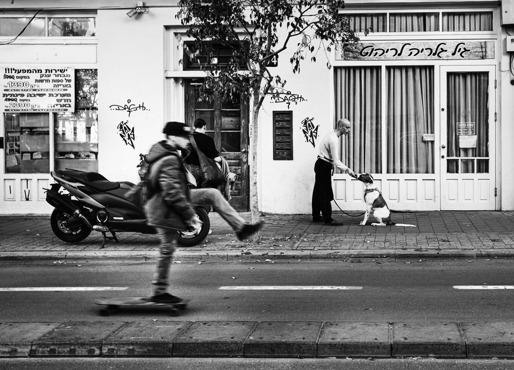 Skateboarder Dog City Street