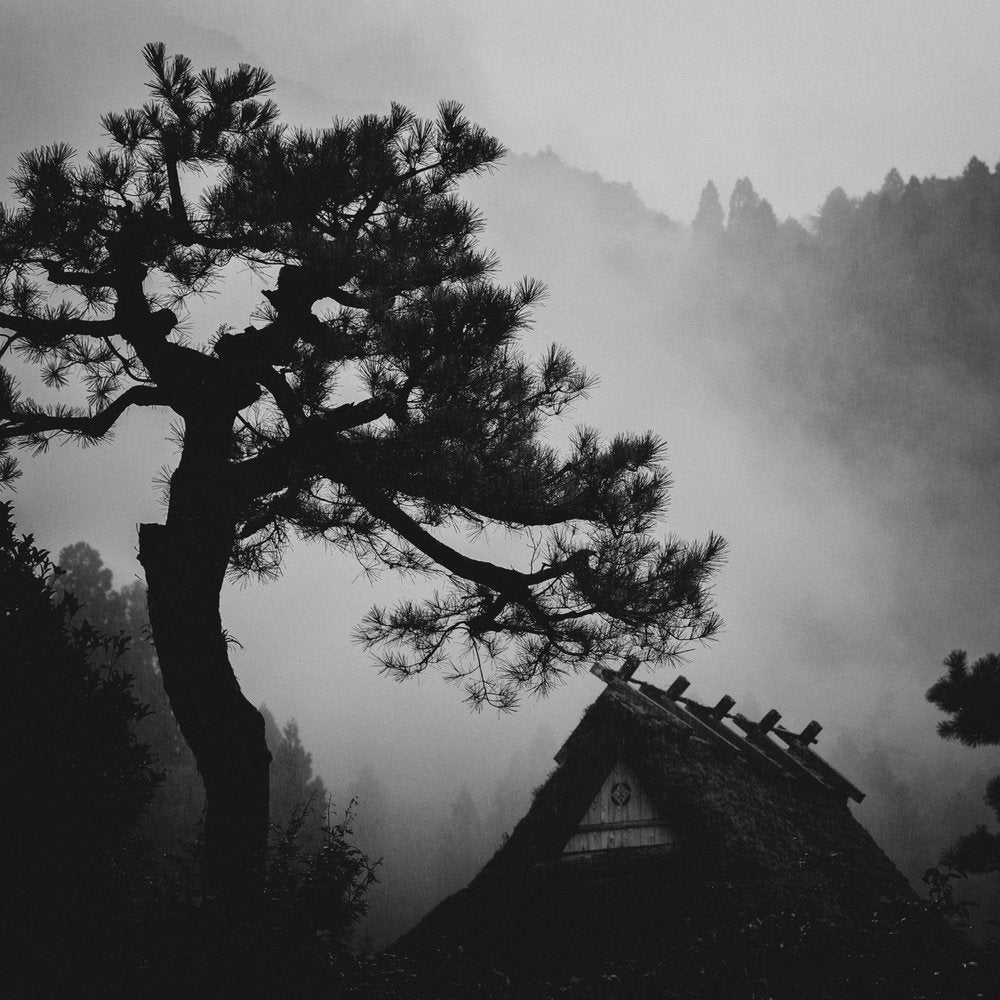 Misty Mountain Homestead