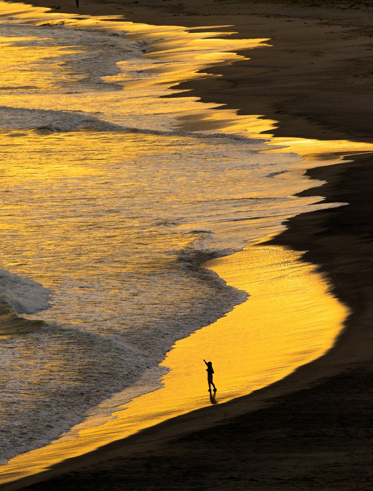 Golden Shore Silhouette
