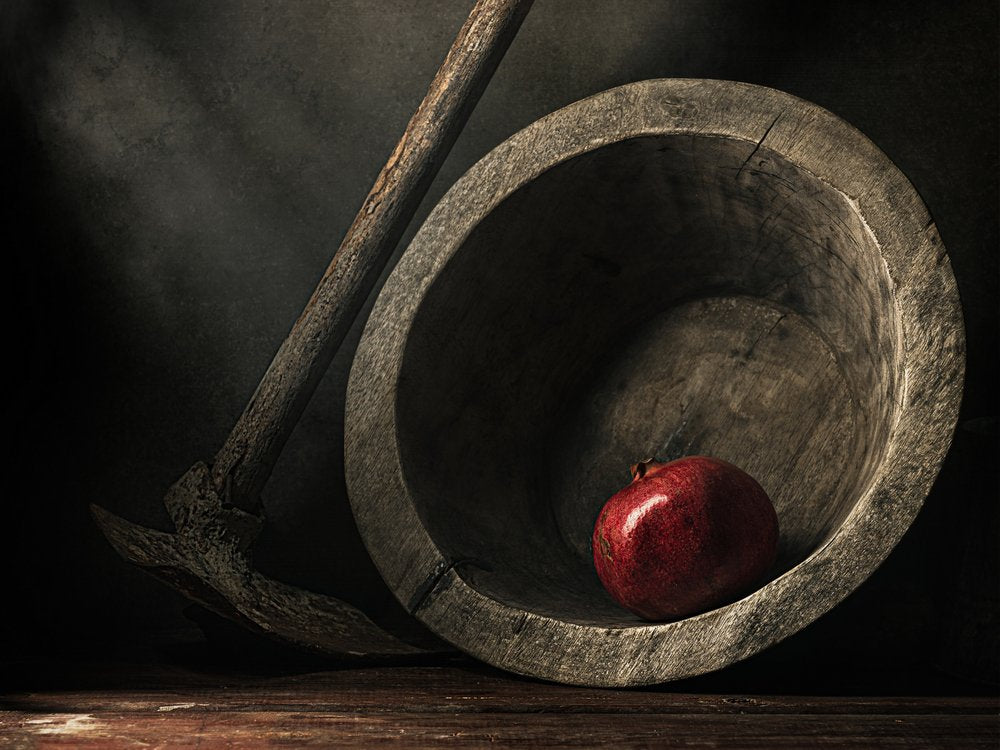 Dark Pomegranate Still Life