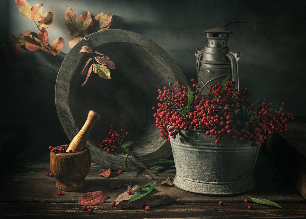 Autumn Harvest Still Life