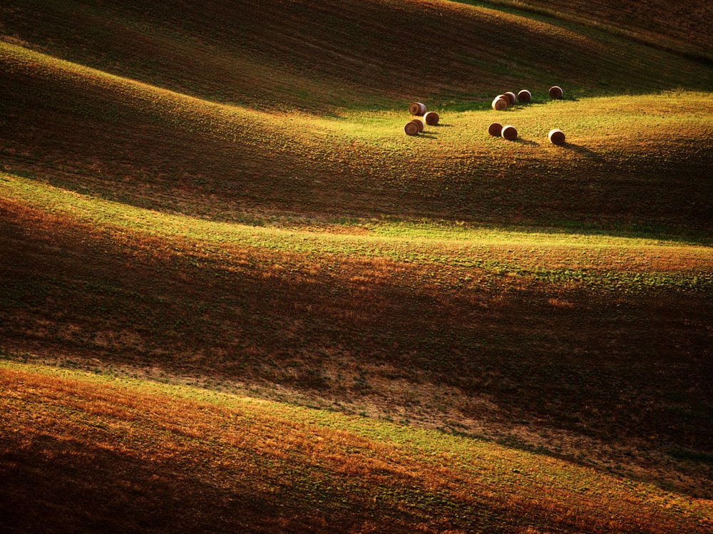 Golden Rolling Hills Hay Bales
