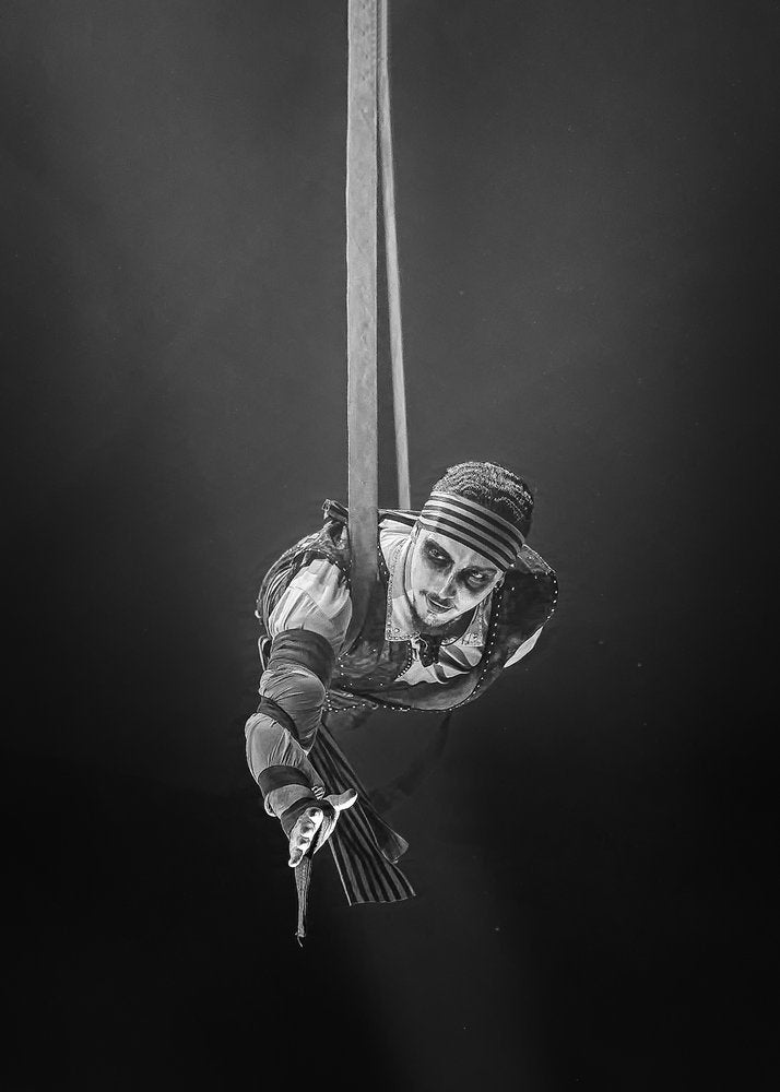 Gothic Aerial Performer