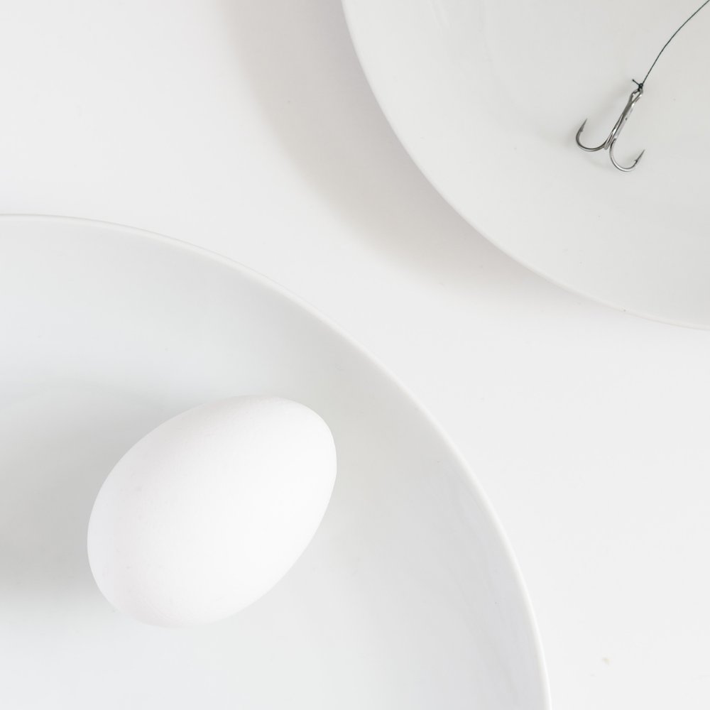 Egg and Fishing Hook
