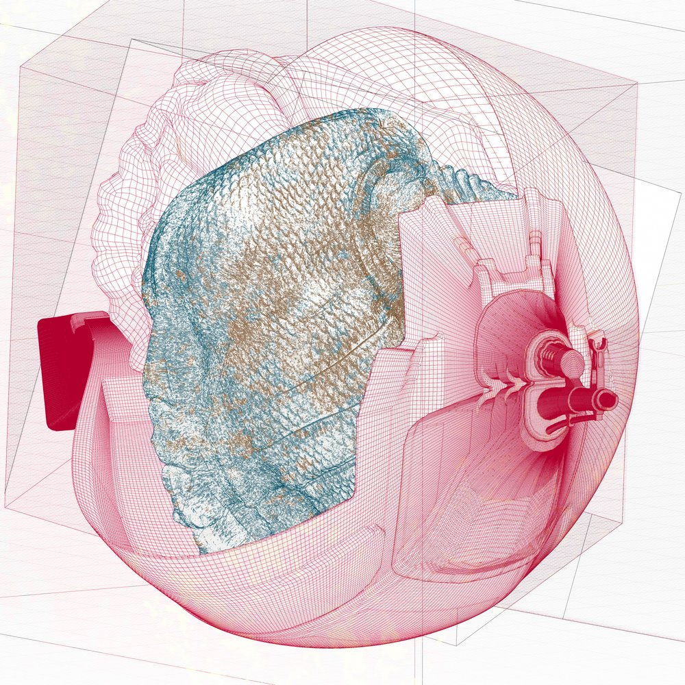 Abstract Wireframe Head