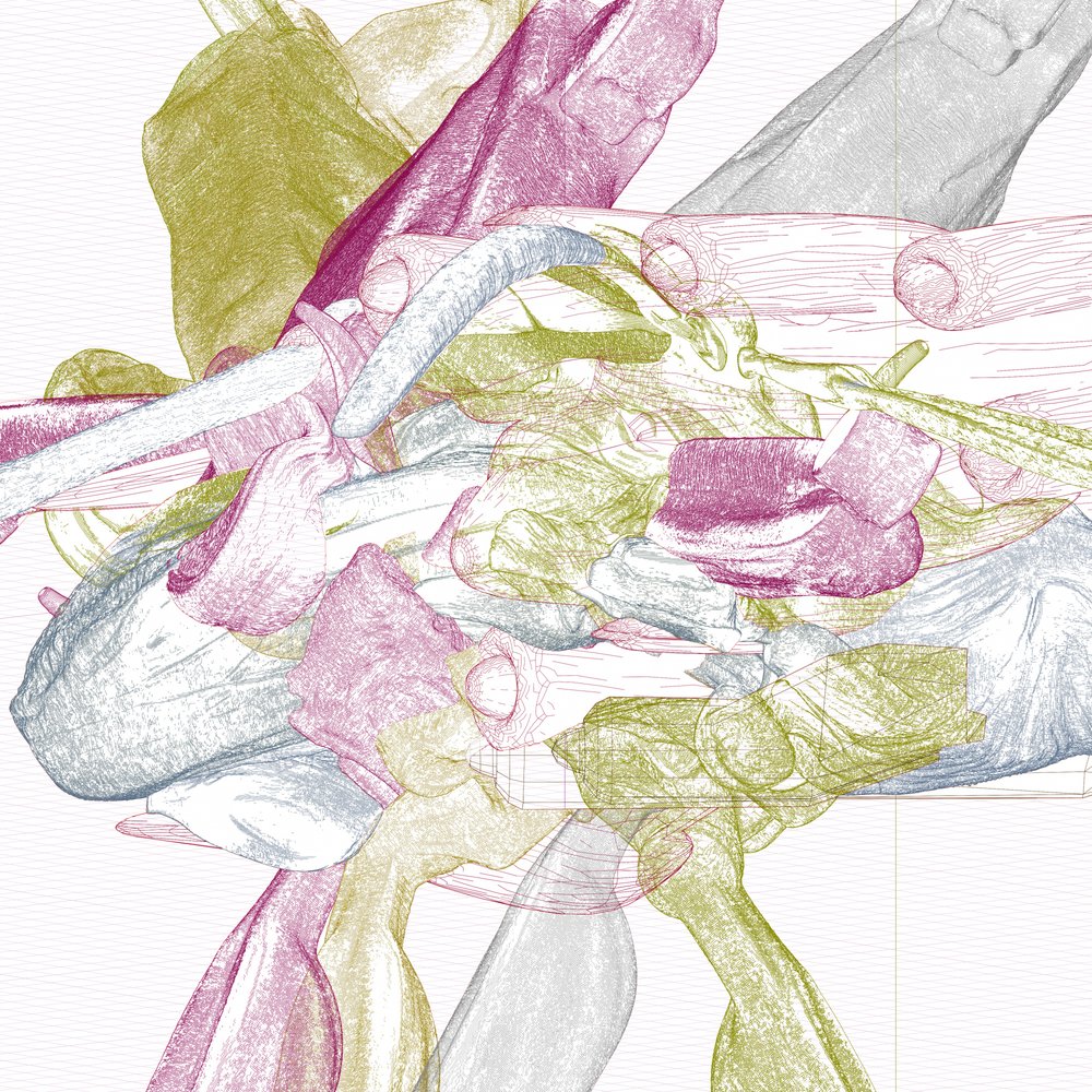 Dynamic Organic Shapes