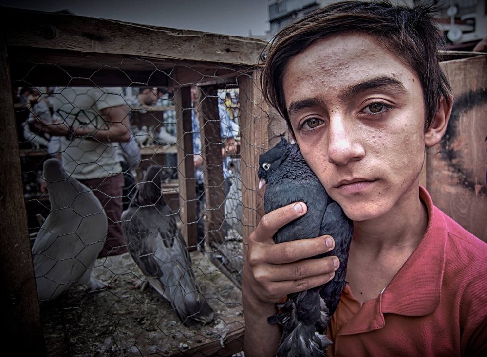 Boy Holding Pigeon