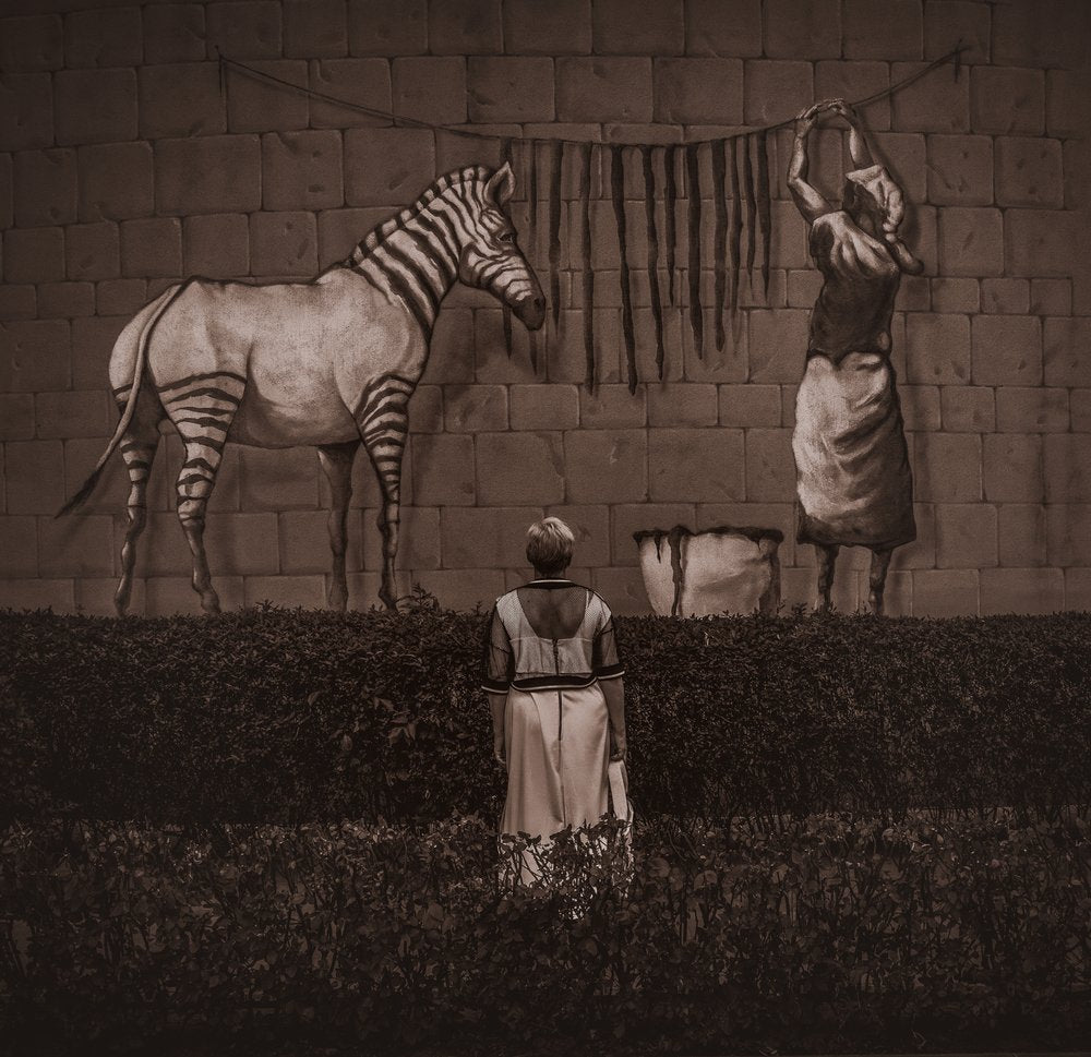 Sepia Zebra Mural Scene