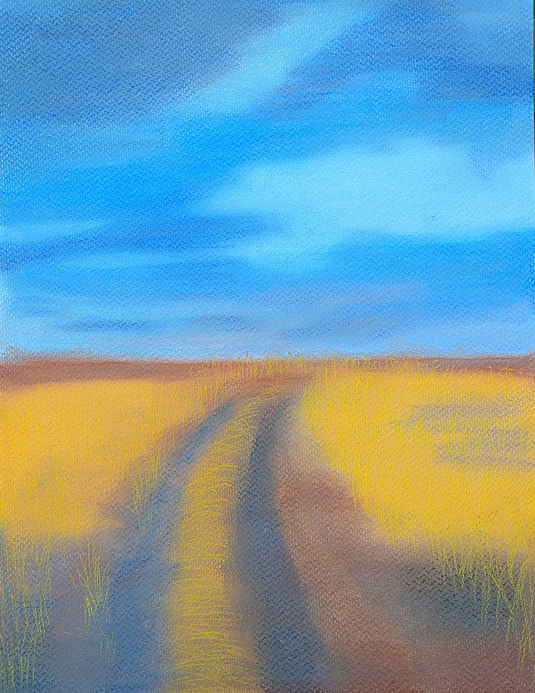 Path Through Golden Fields