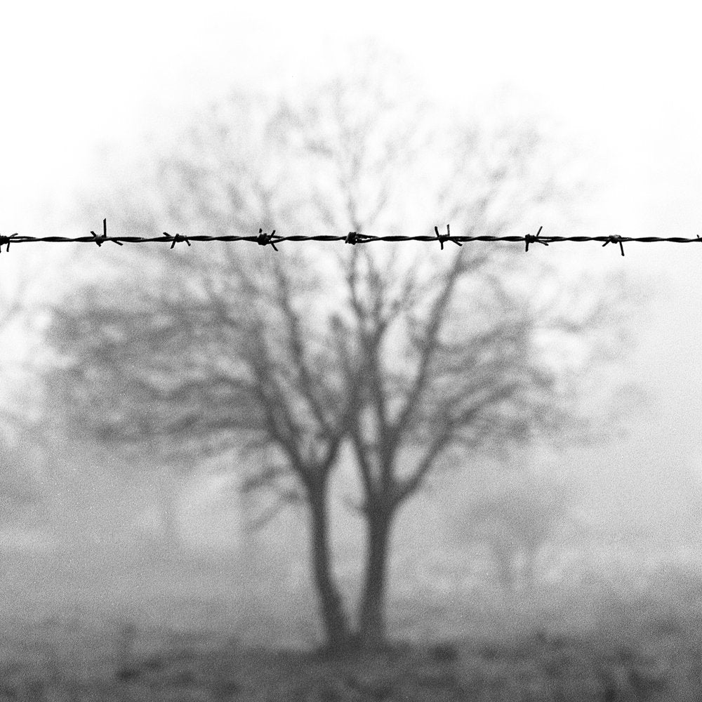 Barbed Wire Fog