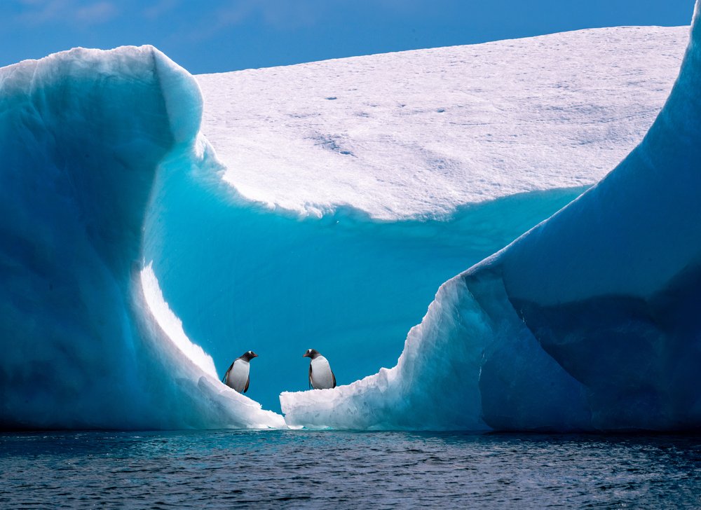 Penguins Beneath Blue Ice