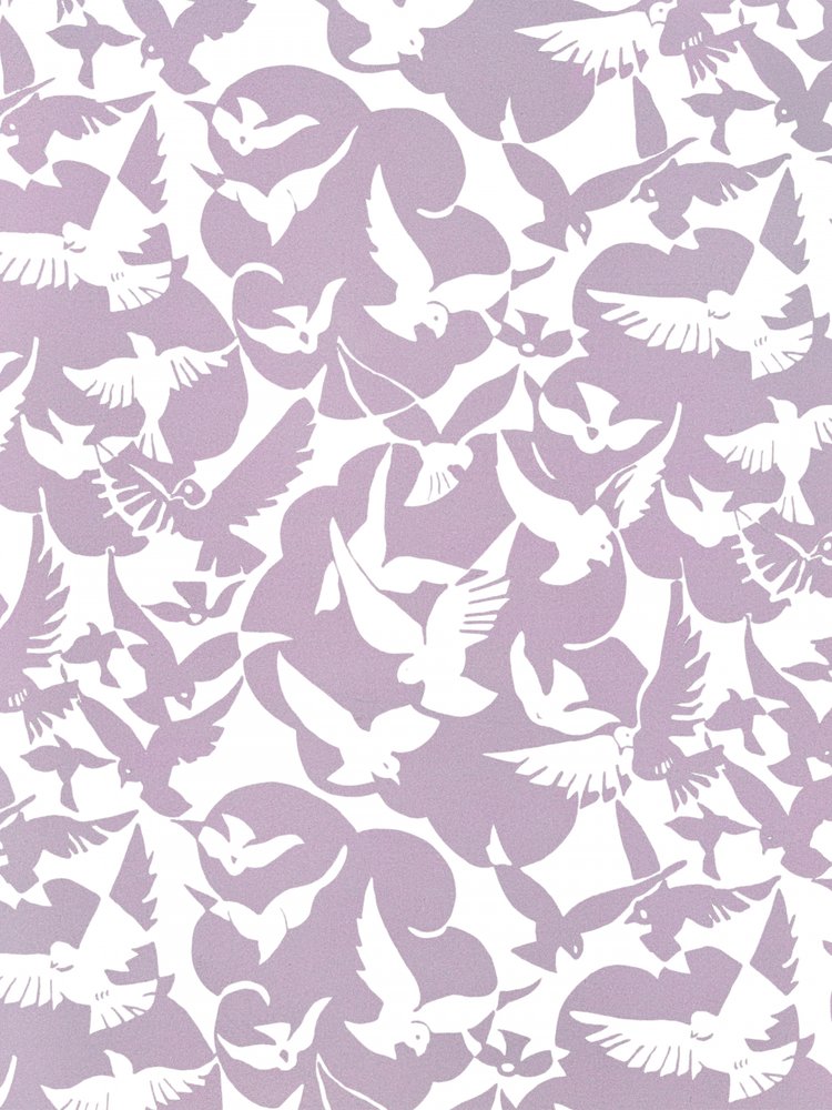 Peaceful Birds Flight