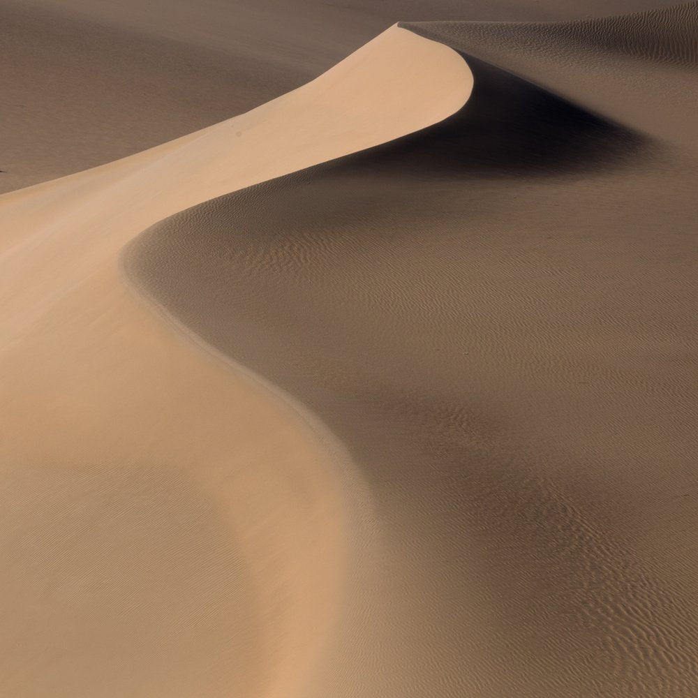 Graceful Desert Dunes