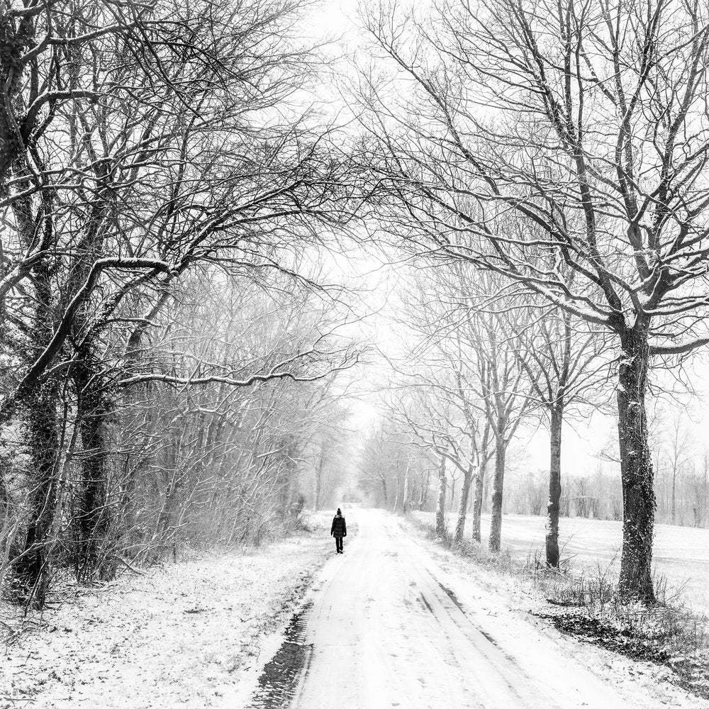 Lone Figure Winter Walk