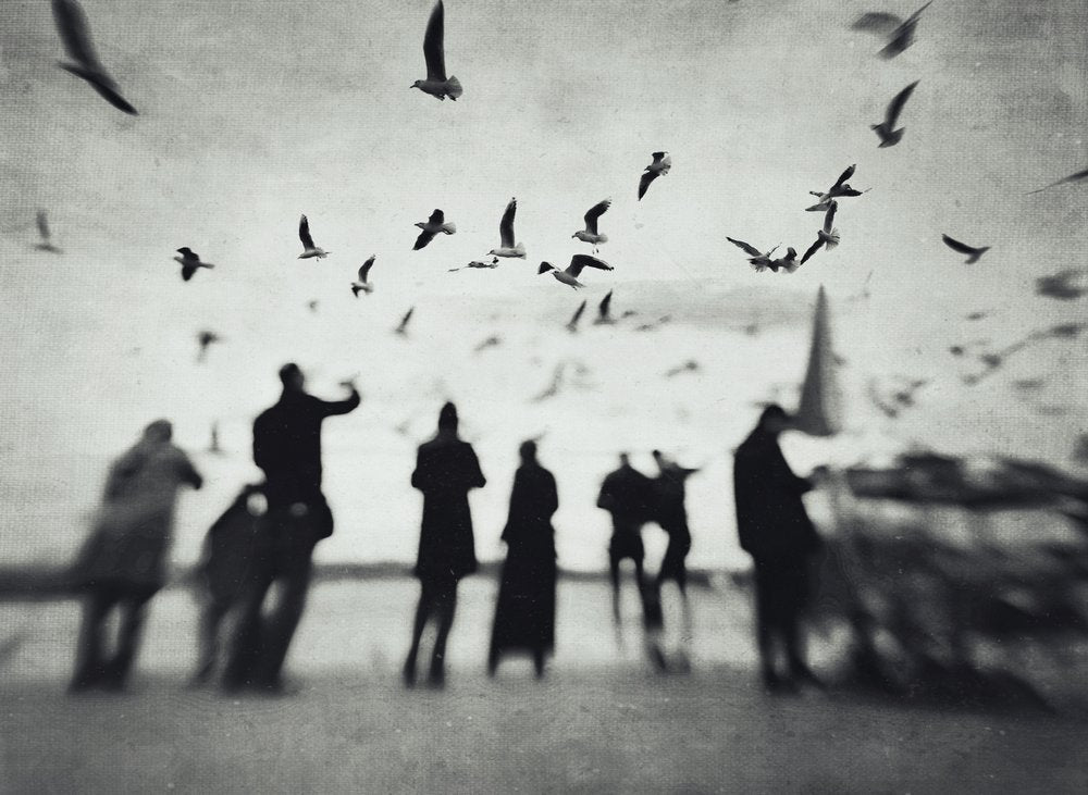Silhouettes And Soaring Birds