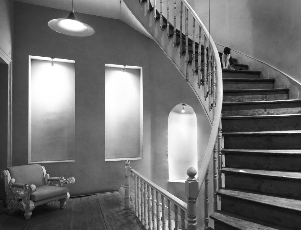 Cat on Grand Staircase