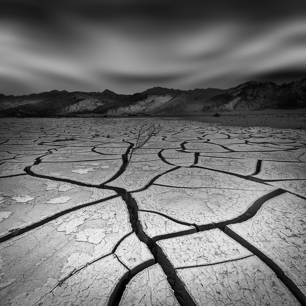 Cracked Earth Landscape