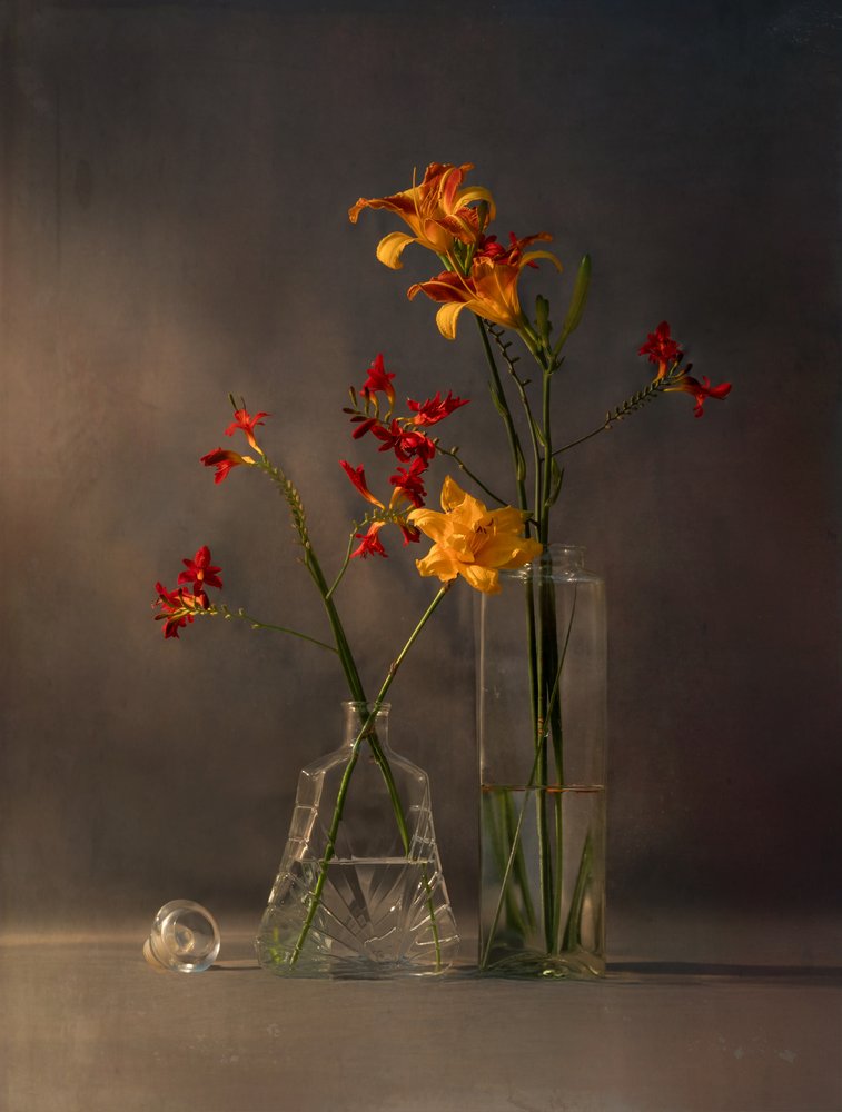 Vibrant Blooms in Light