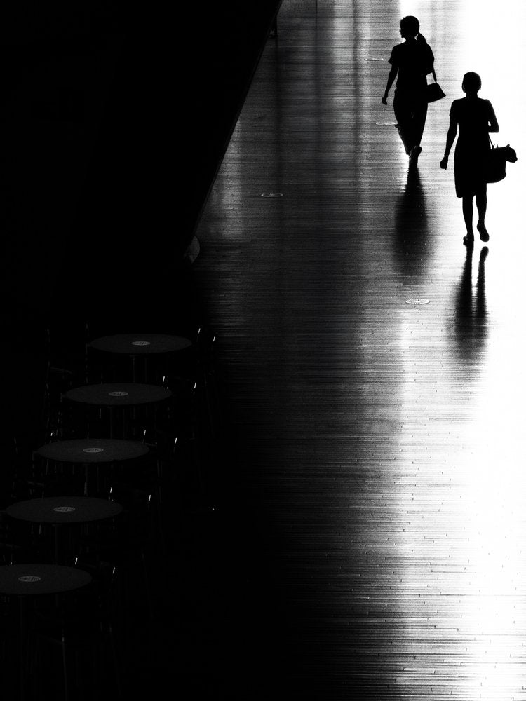 Bright Path Silhouettes
