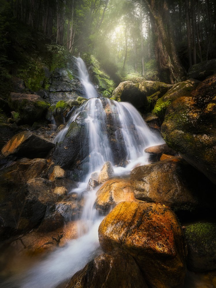 Mystical Forest Waterfall