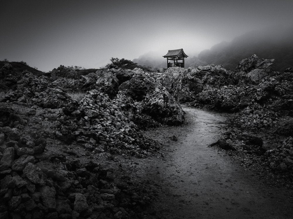 Misty Path to Ancient Shrine