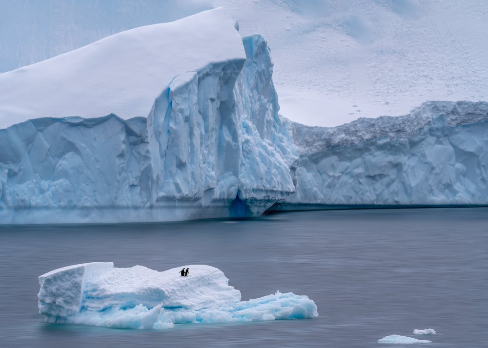 Two Penguins Iceberg