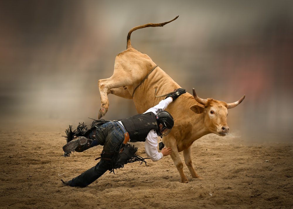 Rodeo Cowboy Fall