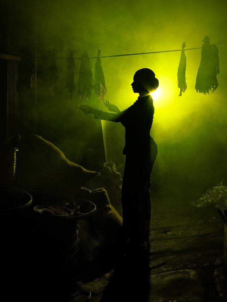 Silhouetted Woman Green Smoke