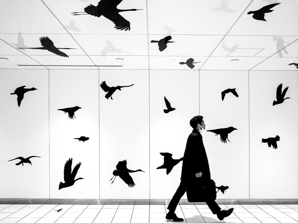 Man Walking Among Birds