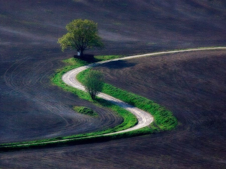 Serene S-Curve Path