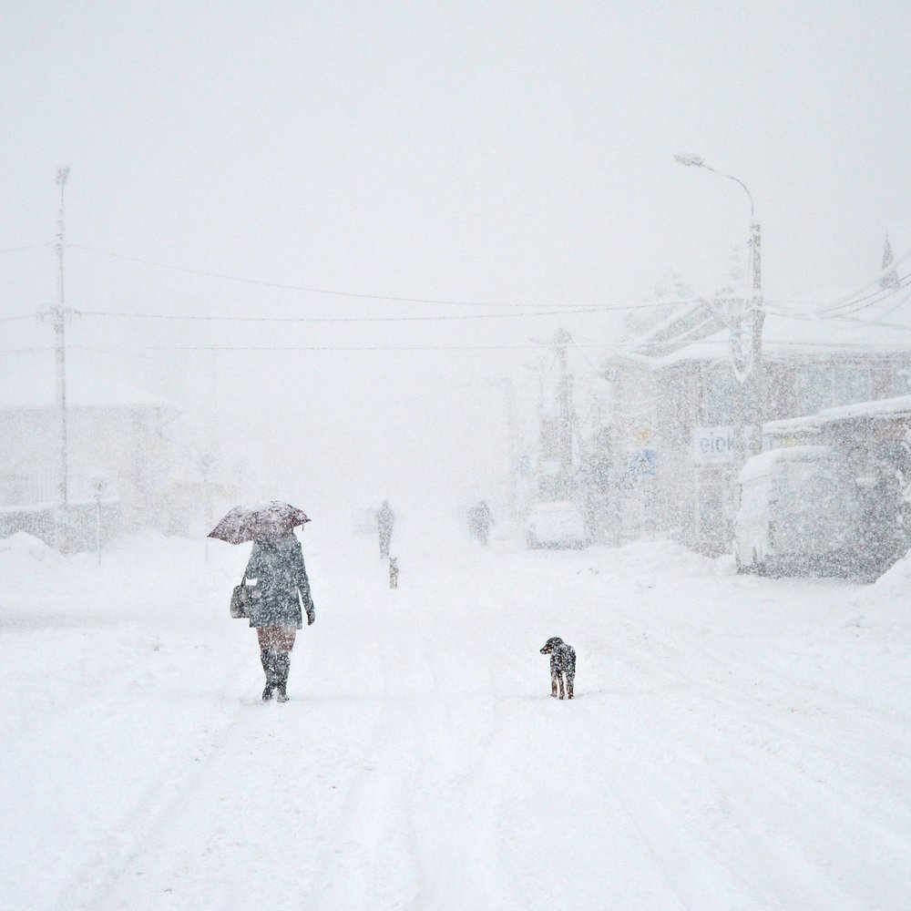 Snowy City Walk