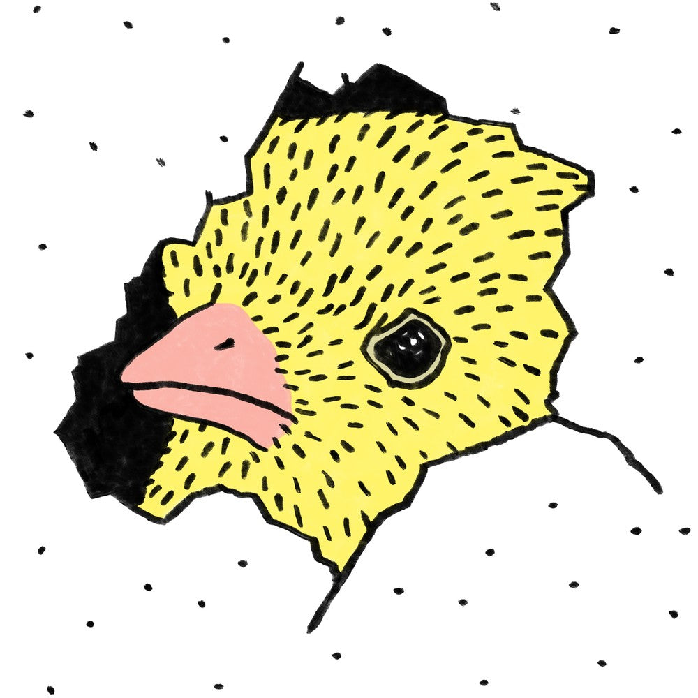 Here'S Chicky