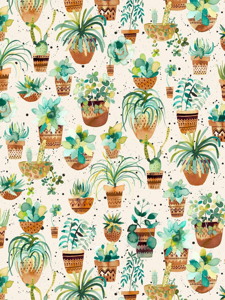 Home Succulent Plant Pots White