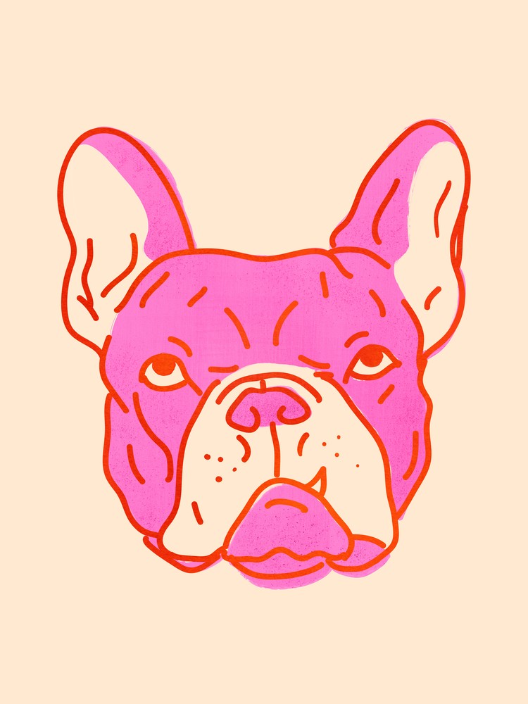 Hot Pink Bulldog