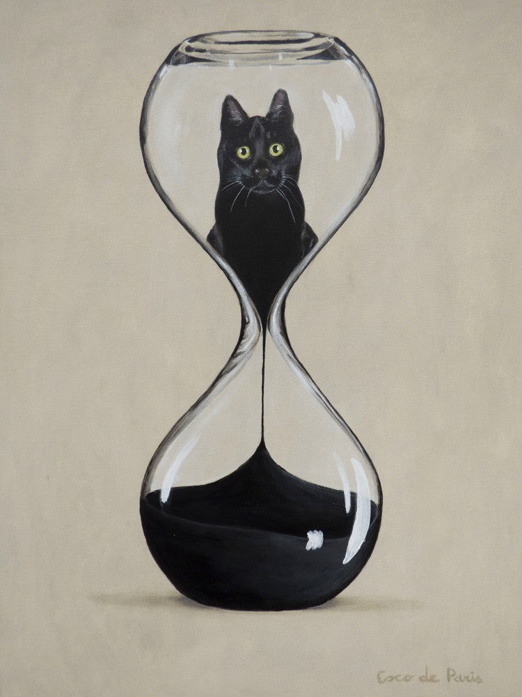 Hourglass Cat