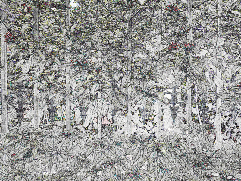 Whispering Leaves